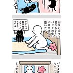 自分の寝場所を理解してる賢い猫ちゃん。平和的に寝る場所を分けあうw