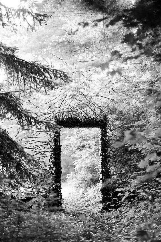 ProfsLuciferus's tweet image. ㅤ
Berhasil, pintu misterius tersebut menghilang. Kyros dan para murid berjalan memasuki hutan terlarang dengan hati-hati. 

“Apa kalian pernah ke sini? Sungguh tempat ini—“ ucapannya terpotong karena mendengar suara teriakan dari @lightjian yang terkejut karena melihat tupai.
ㅤ