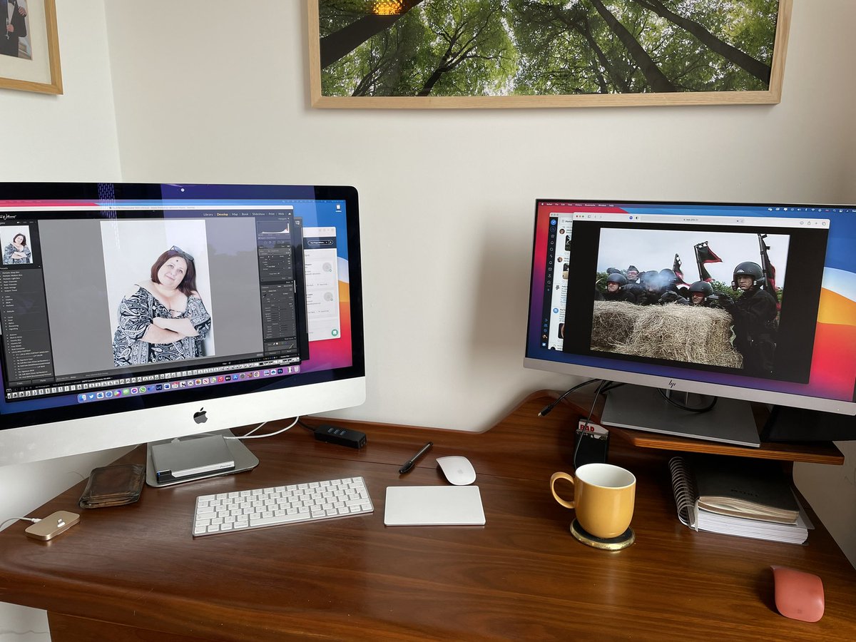 misterphipps's tweet photo. A day of Lightroom is made infinitely better by extended Delta and the Bannermen. #bees #morebees #beeeeees https://t.co/0H2M7L6NuM