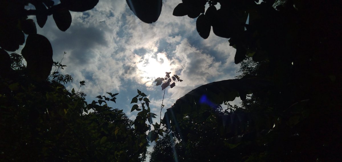 bannneee's tweet photo. "When we feel stuck, look at the sky. The clouds reminds us that everything changes"
#BuddySelcaDay
#FlyToTheSkyWithGFRIEND
#GFRIEND https://t.co/XhxQNnfSBR