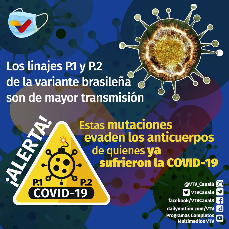 #PREVENCIÓN 😷|  Nuevas variantes de SARS-CoV-2 evaden parcialmente los anticuerpos que pudieran generarse en respuesta a infecciones pasadas de este virus.    

¡Sabemos cómo hacerlo! ¡Cuidémonos! 

#BolívarInmortal