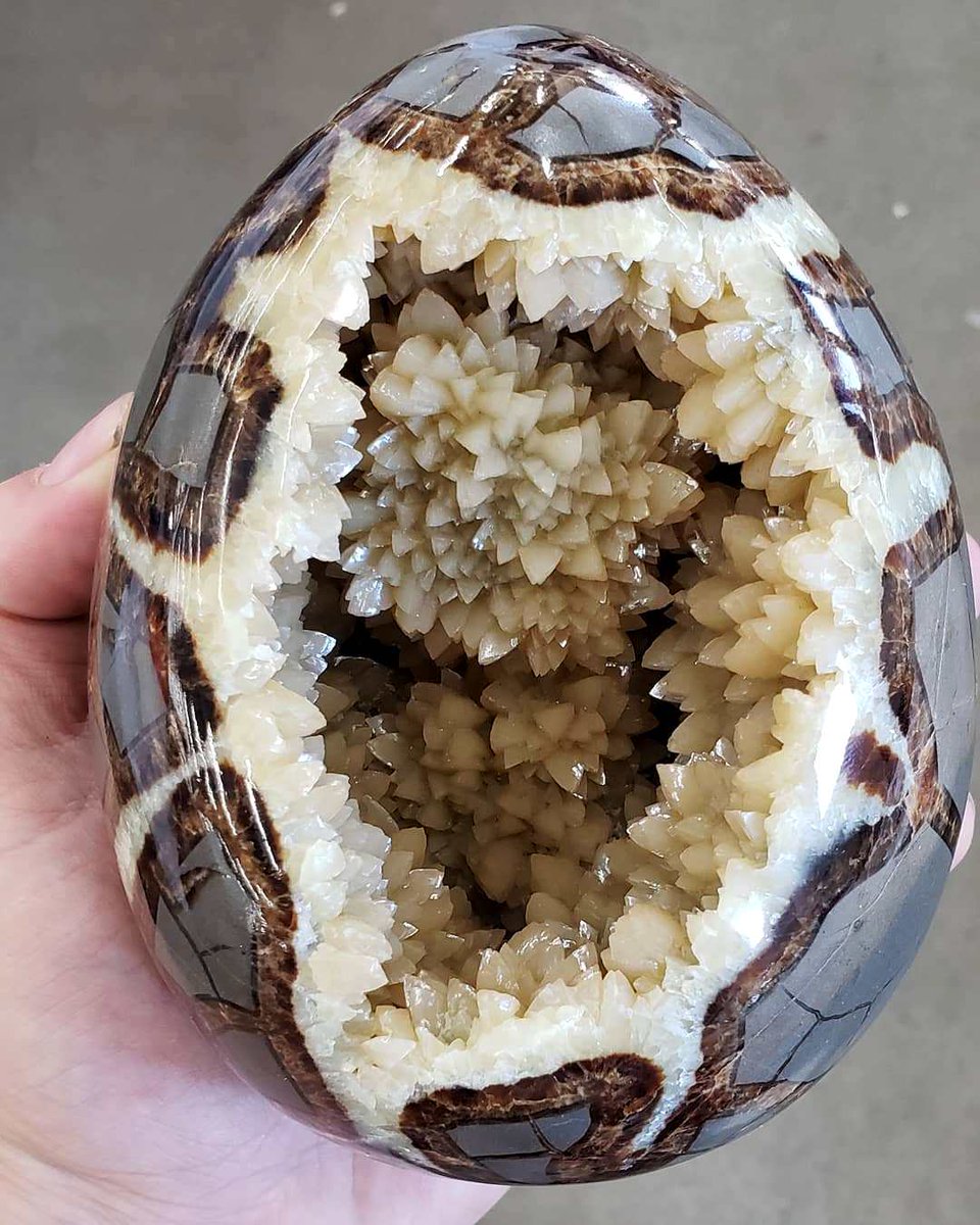 One of the coolest pieces I've ever come across. Septarian concretions or septarian nodules, are concretions containing angular cavities or cracks, called "septaria".

Amazing septarian dragon egg from Utah

Photo: Will Hough

#minerals #gems
