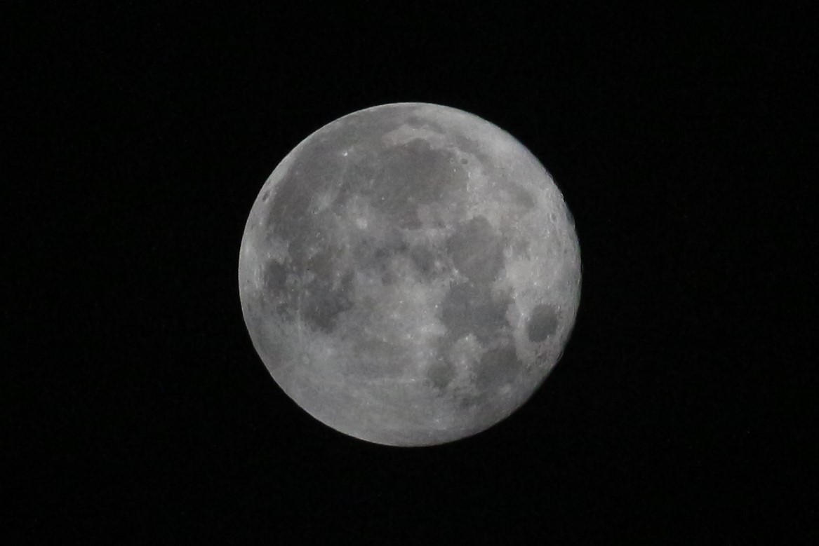 hanafish_fish's tweet photo. おつきさま。
#満月 #moon #fullmoon #バックムーン #BuckMoon #宮城 #EOSkiss https://t.co/7lwZgcZTOU