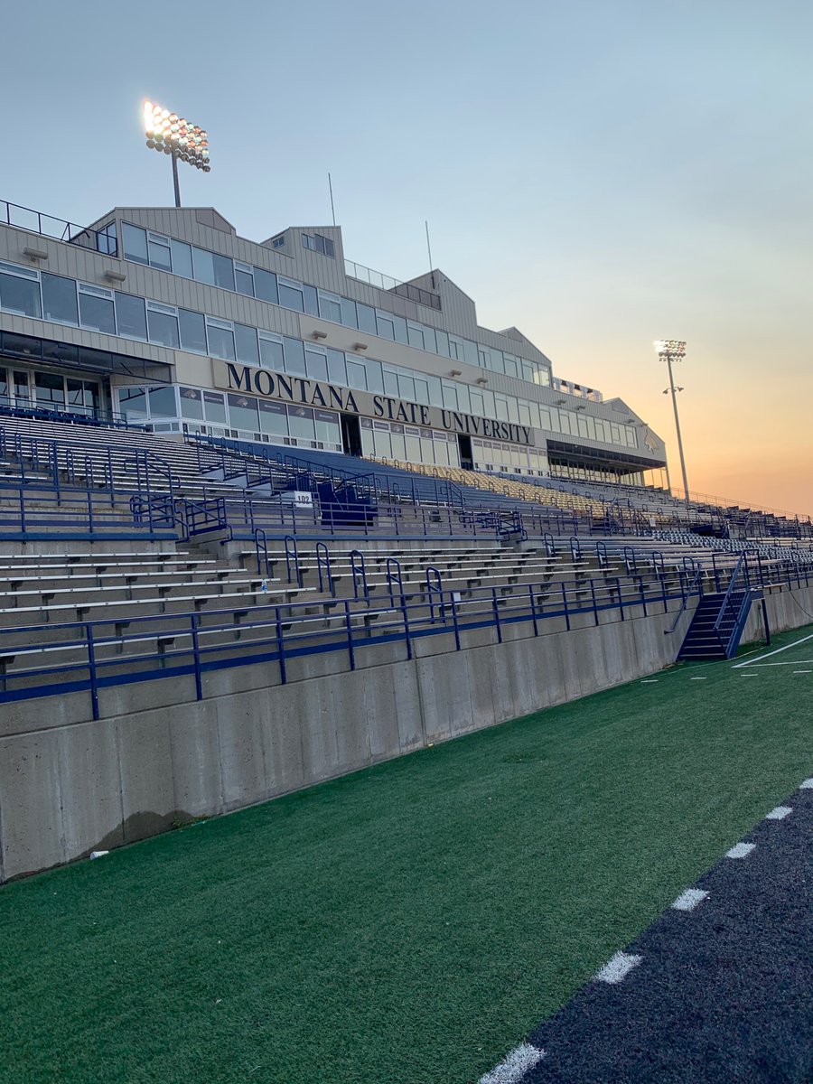 Chase Buckingham tweet media