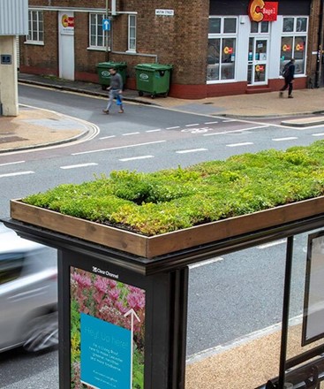 UnalabP's tweet photo. To help stopping the alarming decay of world’s population of bees, the UK city of Leicester is installing new #LivingRoofBusShelters (#BeeBusStops) by topping traditional #BusStopsCovers with a mix of wildflowers and Sedum plants which attract bees and other pollinating insects. https://t.co/UXa85qYMwR