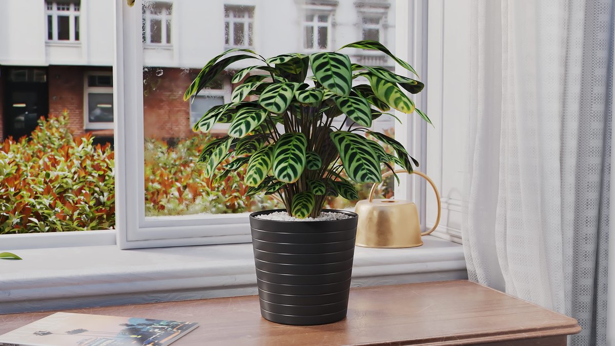 Peacock Plant - Now available for RHINO and SKETCHUP (3ds Max, Blender, FBX also available):  vizpark.com/shop/peacock-p…