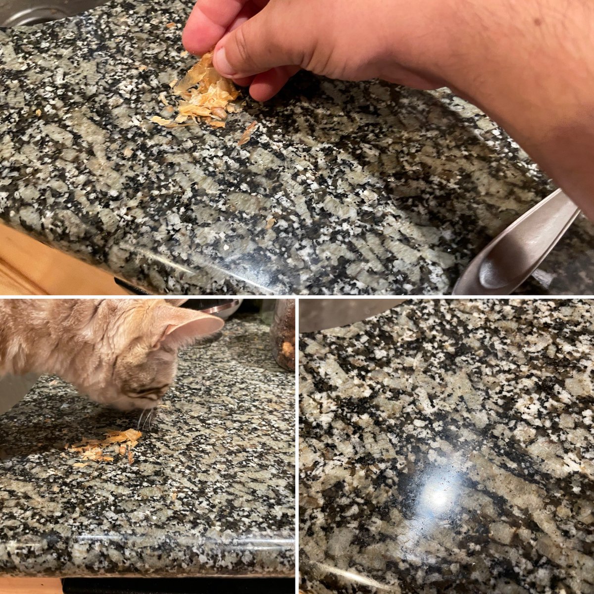 VoiceofTim's tweet image. Cleaning pro tip: dirty counter? Sprinkle bonito flakes, add cat, shiny and clean!!! #CatsOfTwitter #cleanscience #LifeHacks