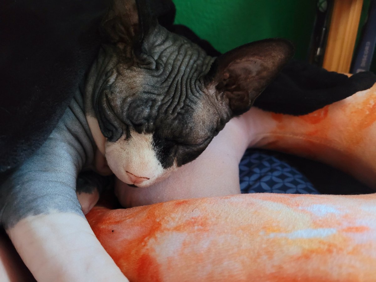 Rupert Digby von Beauregard tweet media