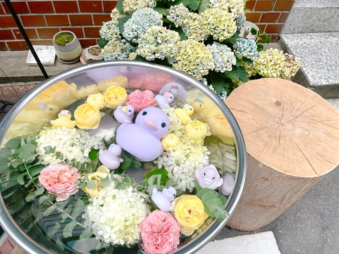 フルーツポンチのtwitterイラスト検索結果