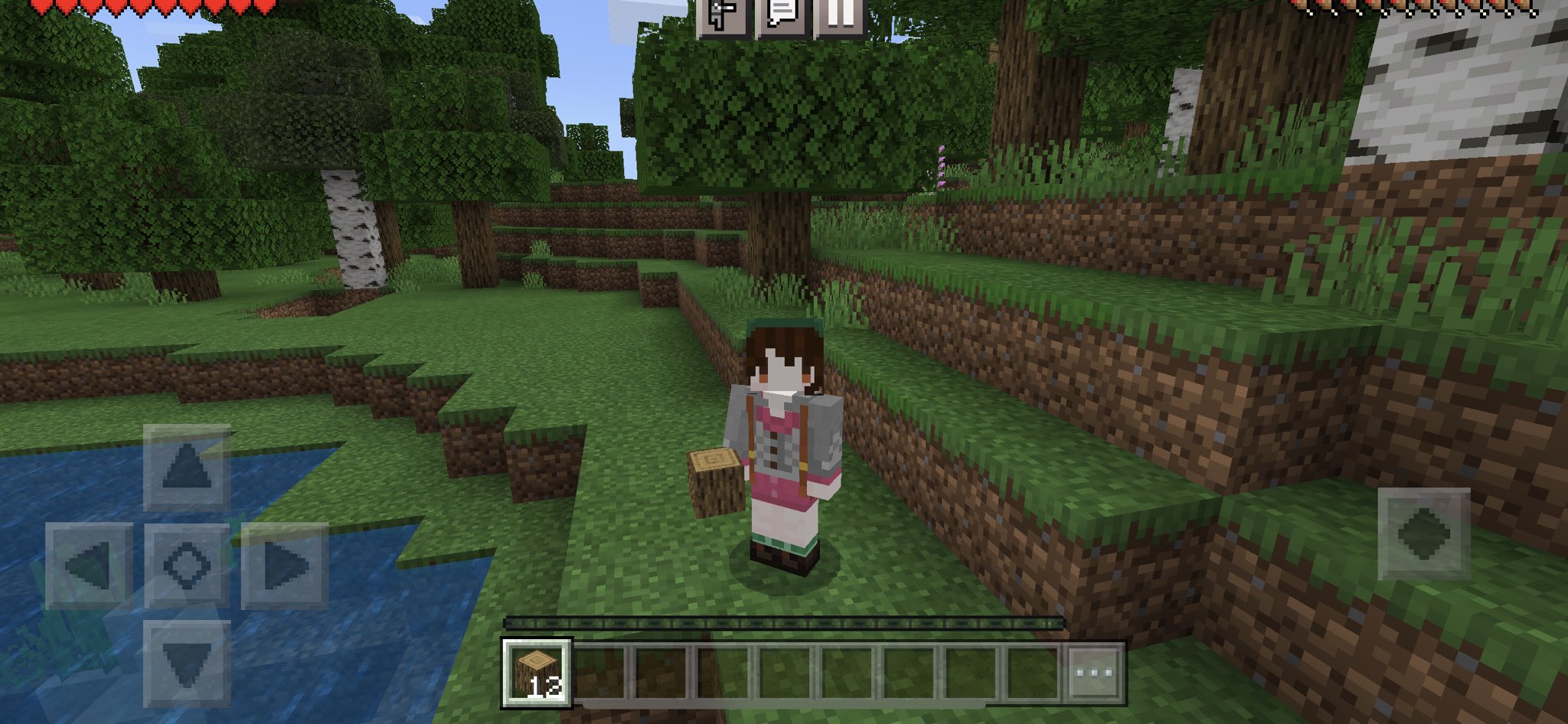 おたま 今お絵描き難航しているので自作のマイクラスキン貼っておきます ポケモンソードシールドの女主人公ユウリのスキンです こんな感じでマイクラスキンちょくちょくアップしていくかもです ポケモン剣盾 T Co Nd6smuugzj Twitter