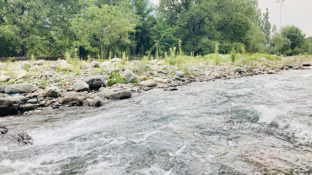 irfanaminmalik's tweet photo. Beautiful stream in #Aripal #Tral in south #Kashmir https://t.co/J9gfHxzMeo