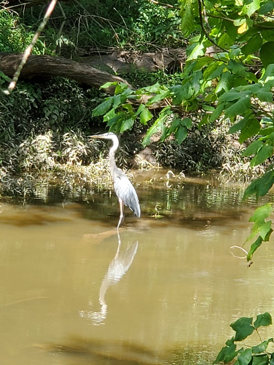 joni 🦋 tweet media