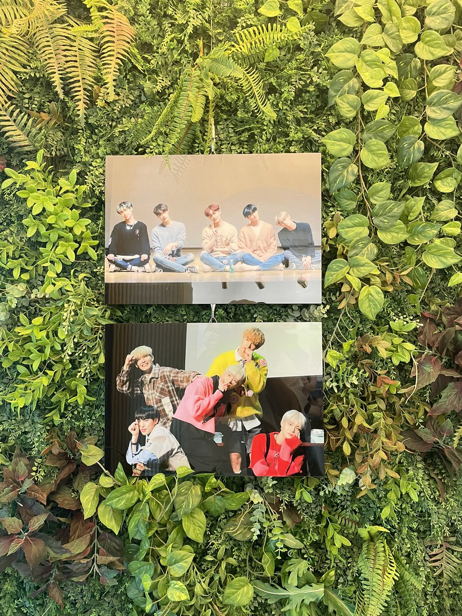 Blooming_CIX tweet picture