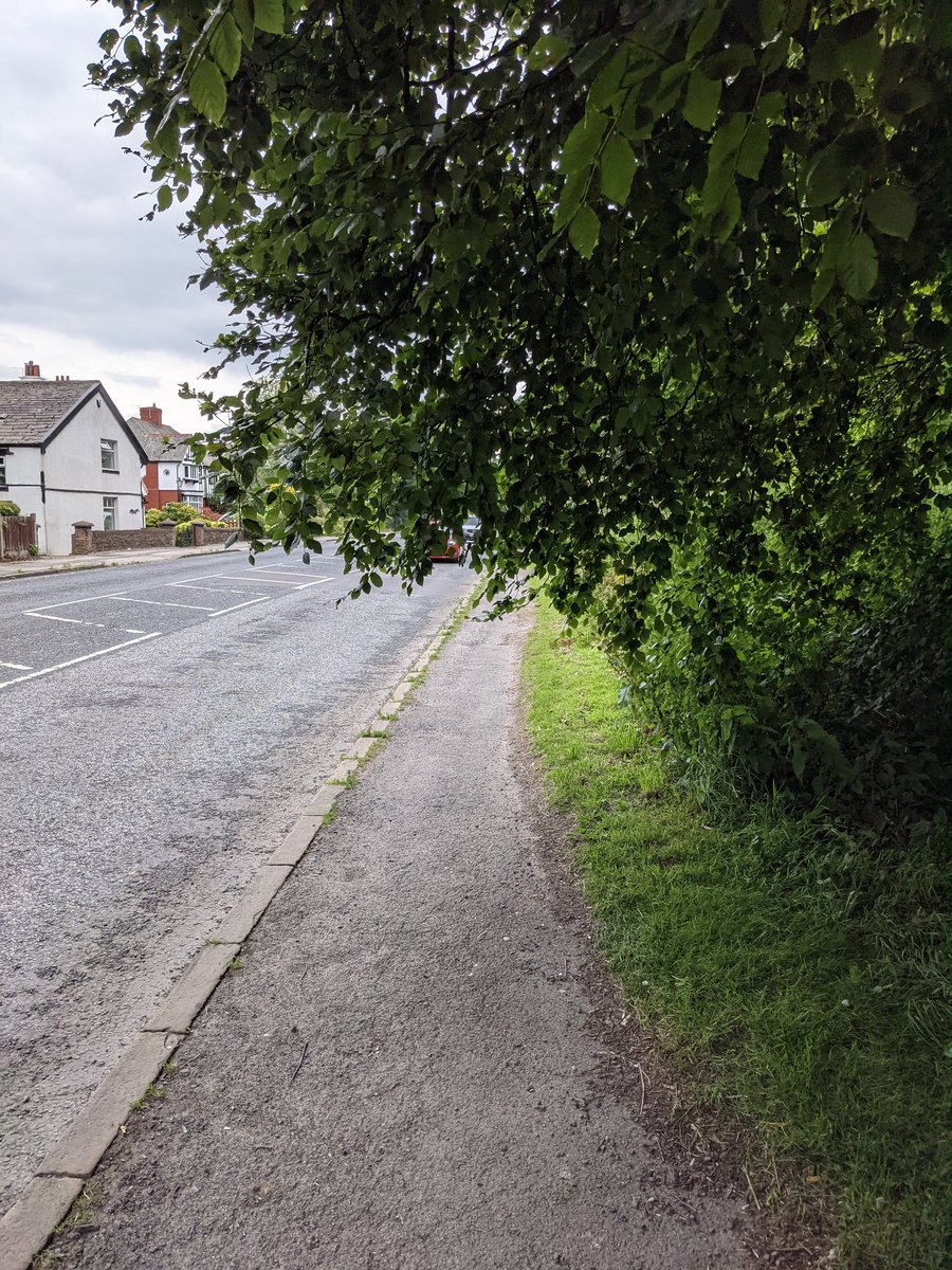 This is the sliver of pavement on the A6. Zero maintenance. Where's that Councillor Morgan guy now?