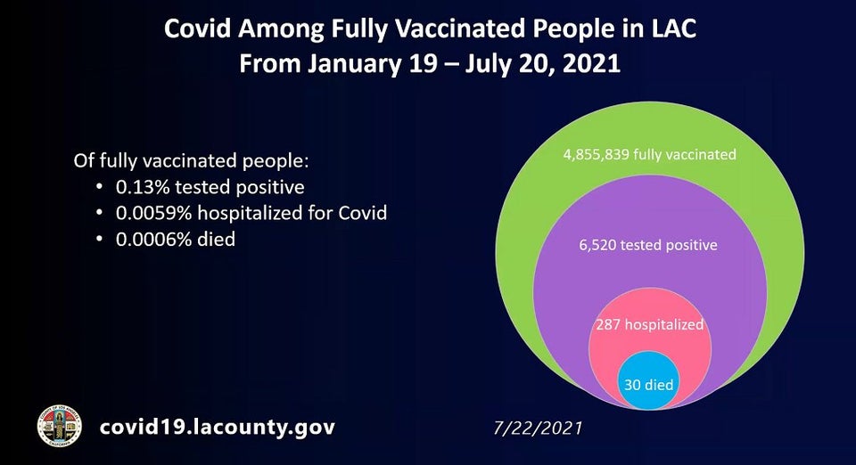 Bill the Lizard tweet media