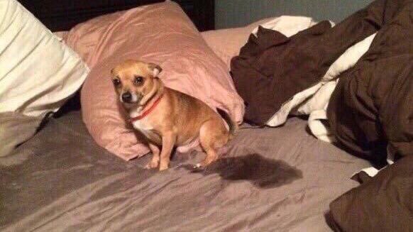 leftmcn's tweet image. Hola.