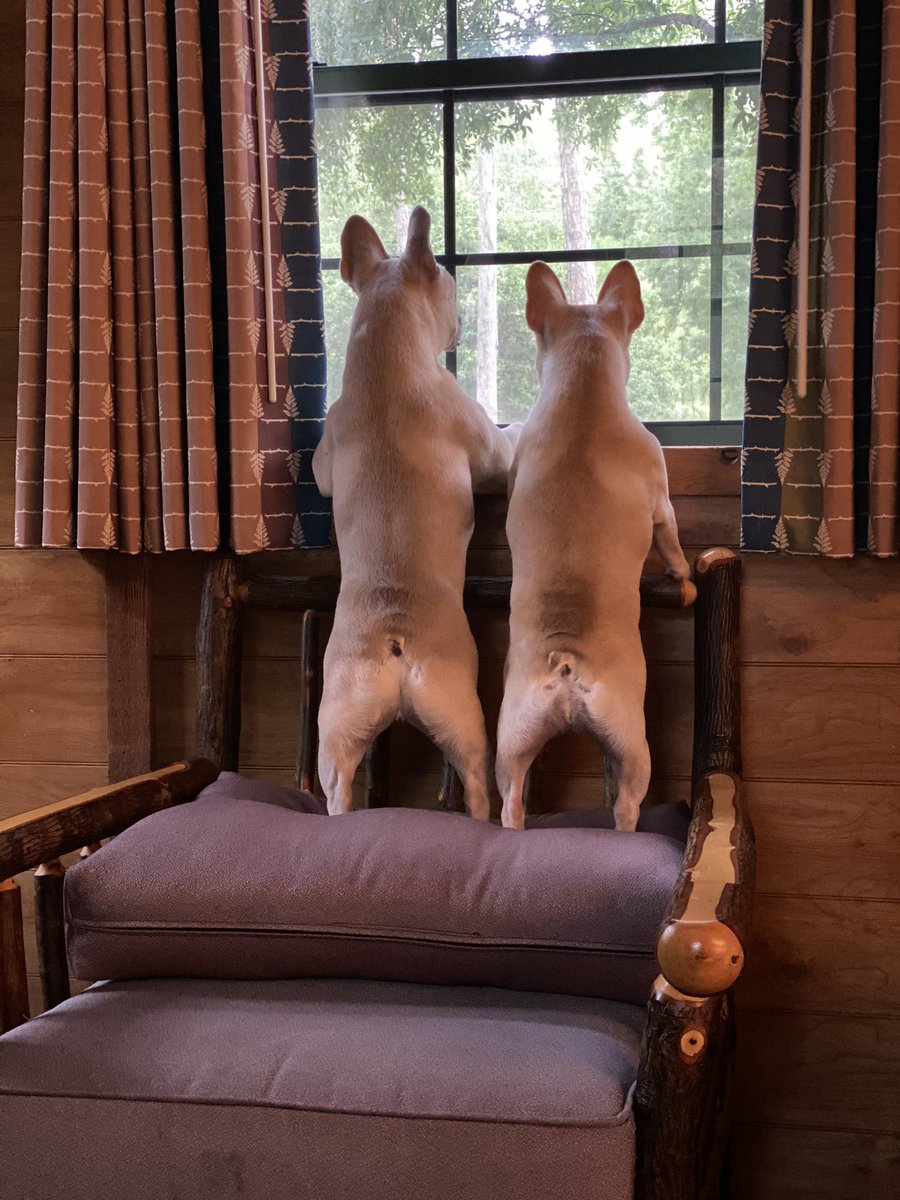 Edmund Capitano tweet media