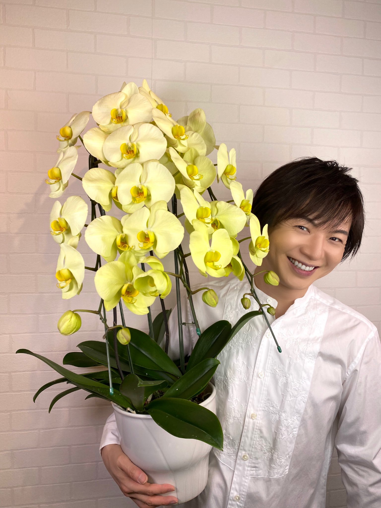تويتر 竹島宏スタッフ 公式 على تويتر 胡蝶蘭 緑 花言葉は 幸せが飛んでくる 珍しい優しい緑色の胡蝶蘭 皆さんへ幸せが飛んできま すように 今日も１日お疲れ様でした ひろネット 花便り 花言葉 花 花を贈ろう 胡蝶蘭 花のある暮らし 花の