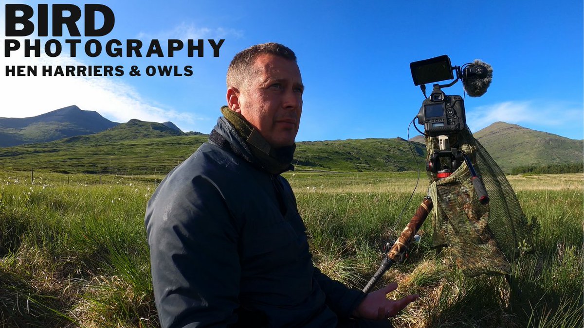Join me for some more Bird Photography on the Isle of Mull, Scotland. In PT 3 I spend an amazing time photographing & filming Hen Harriers & Short Eared Owls🔽 

youtu.be/4jW02cCM-J0

#wildlife #photographer #nature #owls @Britnatureguide @NatureUK @lenscoat @buffalosystems