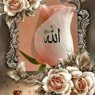 دنیا میں لالچ کی ایسی ہواچلی کہ پاکستان کے بڑے بڑے خاندانی لوگ جن کے خاندانوں کے اصول ہواکرتے تھے ان کے چھوٹوں نے سیاست میں آکے اپنا ایمان ہی بھیج دیا!زرداری اور نواز شریف کے پارٹیز میں رہ کراپنا ایمان پئسا کردیا پورا پاکستان لوٹ لیااور آج وہ نیب کے در در کی ٹھوکریں کھارہے ہیں.