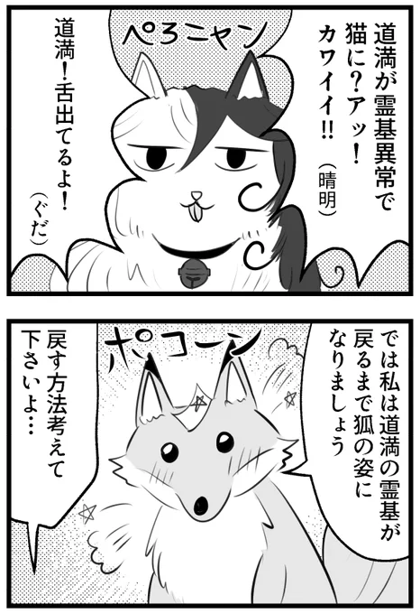 きつねこ晴道 