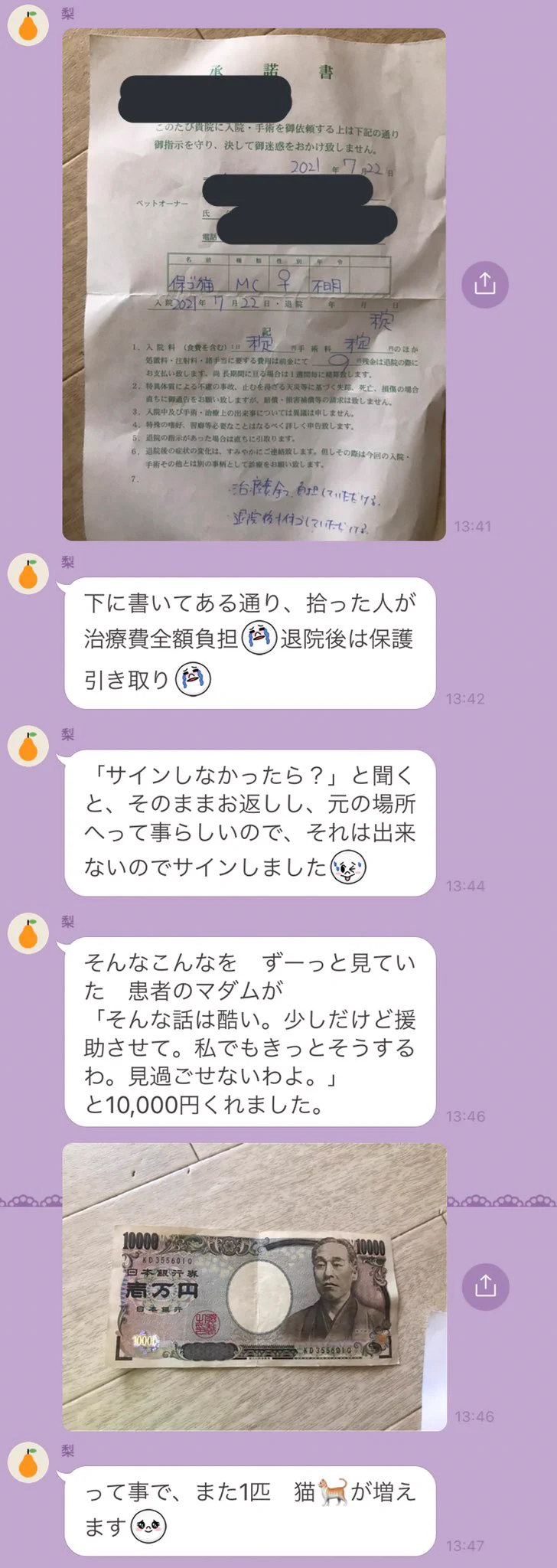 見て見ぬふりはできないお母様からのLINE！熱中症の猫を助けたら扶養家族がまた増えた！