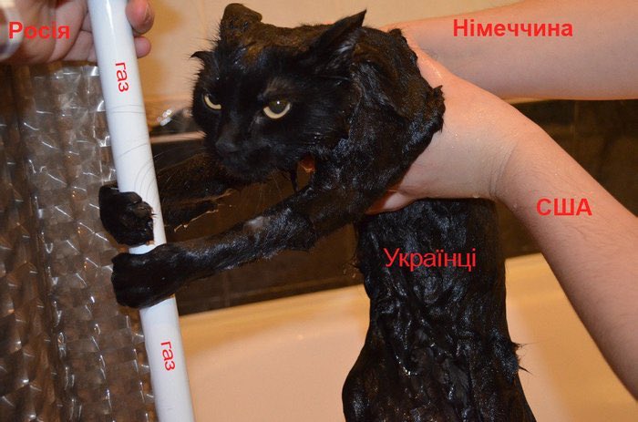 https://pbs.twimg.com/media/E7Ed61SXsA4zpKE?format=jpg&amp;name=900x900