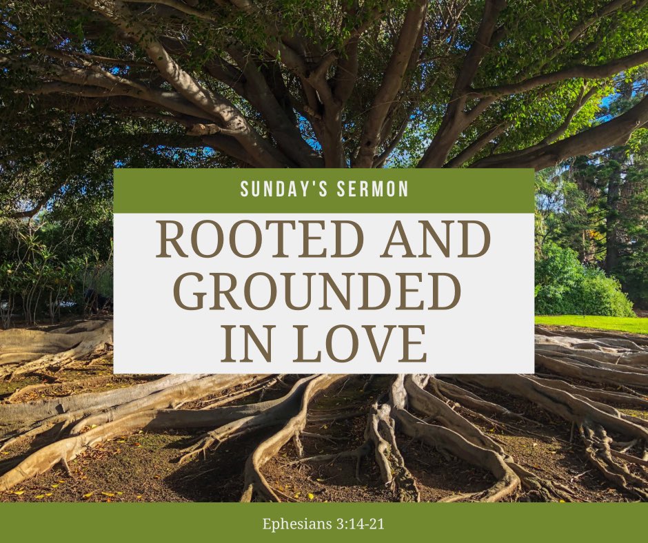 SurfsideUMC's tweet photo. There is no person who is beyond the love of God.  As we sink our roots deep into the soil of God’s love, we are able to grow in faith, and God is able to accomplish much in and through us. https://t.co/ixruEIiubD