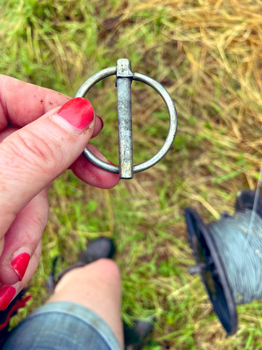 pile_joanne's tweet photo. Who ever invented these snappy little buggers had a very wicked sense of humour!!!!🤬😂 https://t.co/l1wKsHNYiU