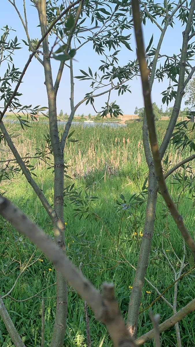 Carrie Butterwick tweet media