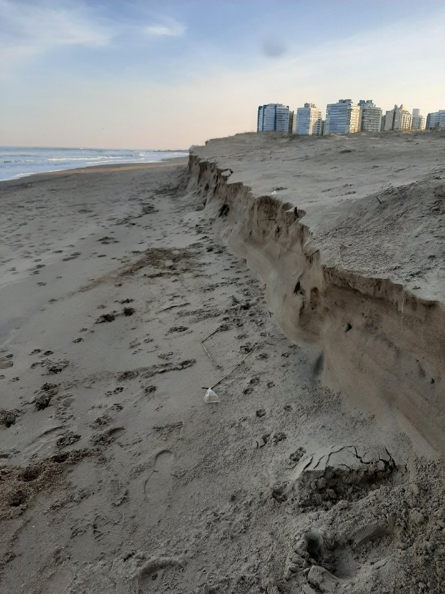 Juan Negro tweet media