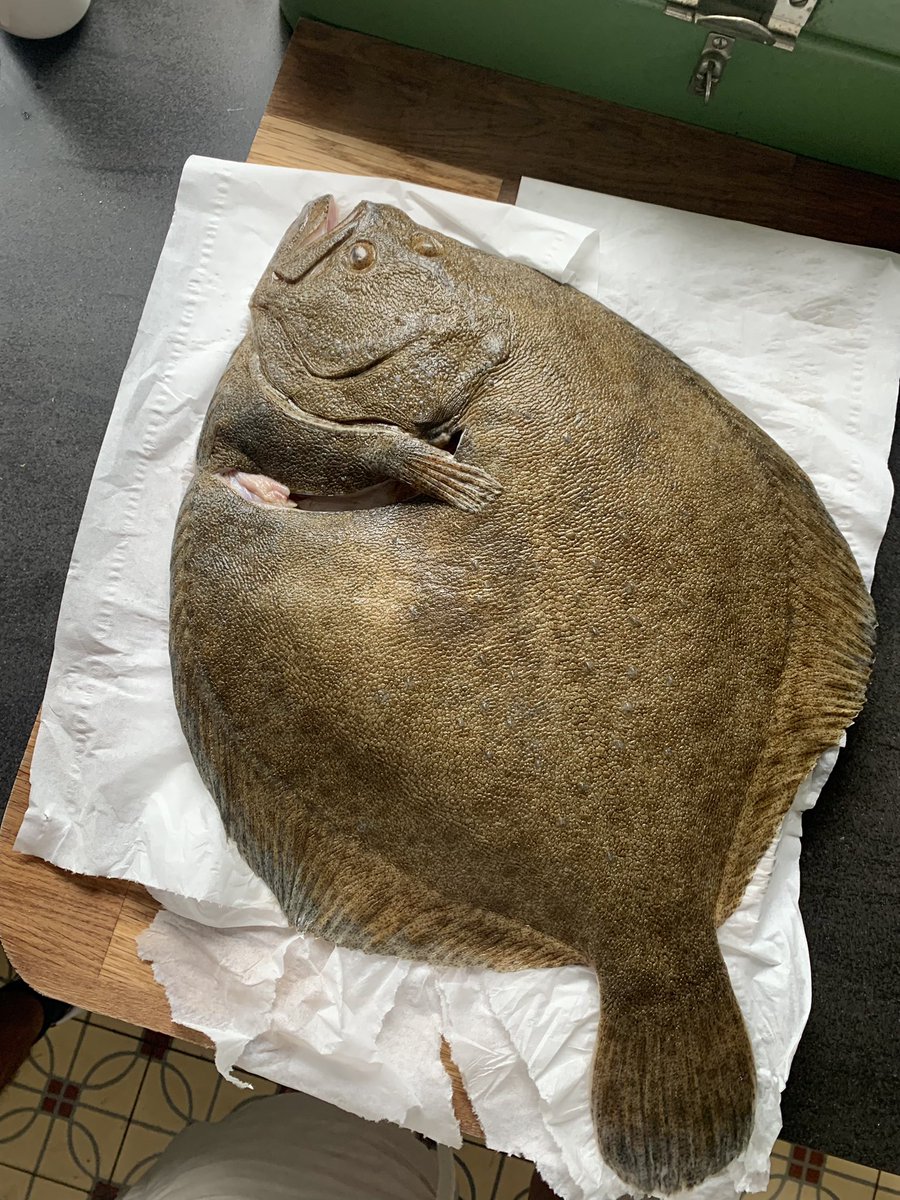 AnneReitsma's tweet photo. Je zal@maar bij ons eten vanavond..
#Tarbot #enverdereingrediënten https://t.co/ZqZA1xBwsC