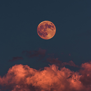 LB_Meditation's tweet photo. Join us for the July Full Moon Meditation with Franz, tonight at 7pm. It's a hybrid session so join in-person or online! More info: https://t.co/wxgS97ByYa
#Uposatha #theravada #vipassana #buddha #dharma #sangha #mindfulness #mindful https://t.co/rw8RcfJ9xg