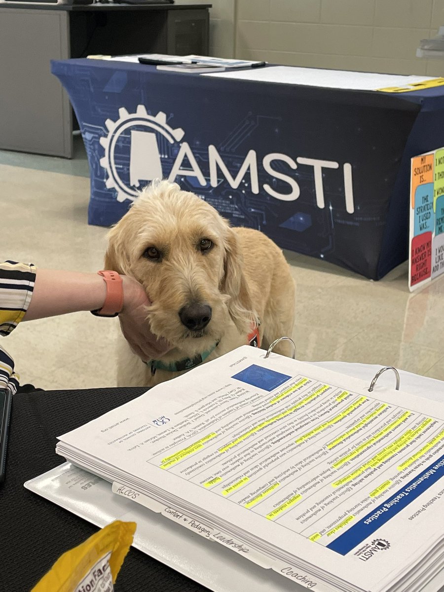 kimberw5226's tweet photo. Sharpening his coaching skills and checking anxiety levels. 💜💛@ferdinandofSCS @amstiuna #AMSTI4all #servicedogs #coachingacademy https://t.co/3bUxRNhKxE