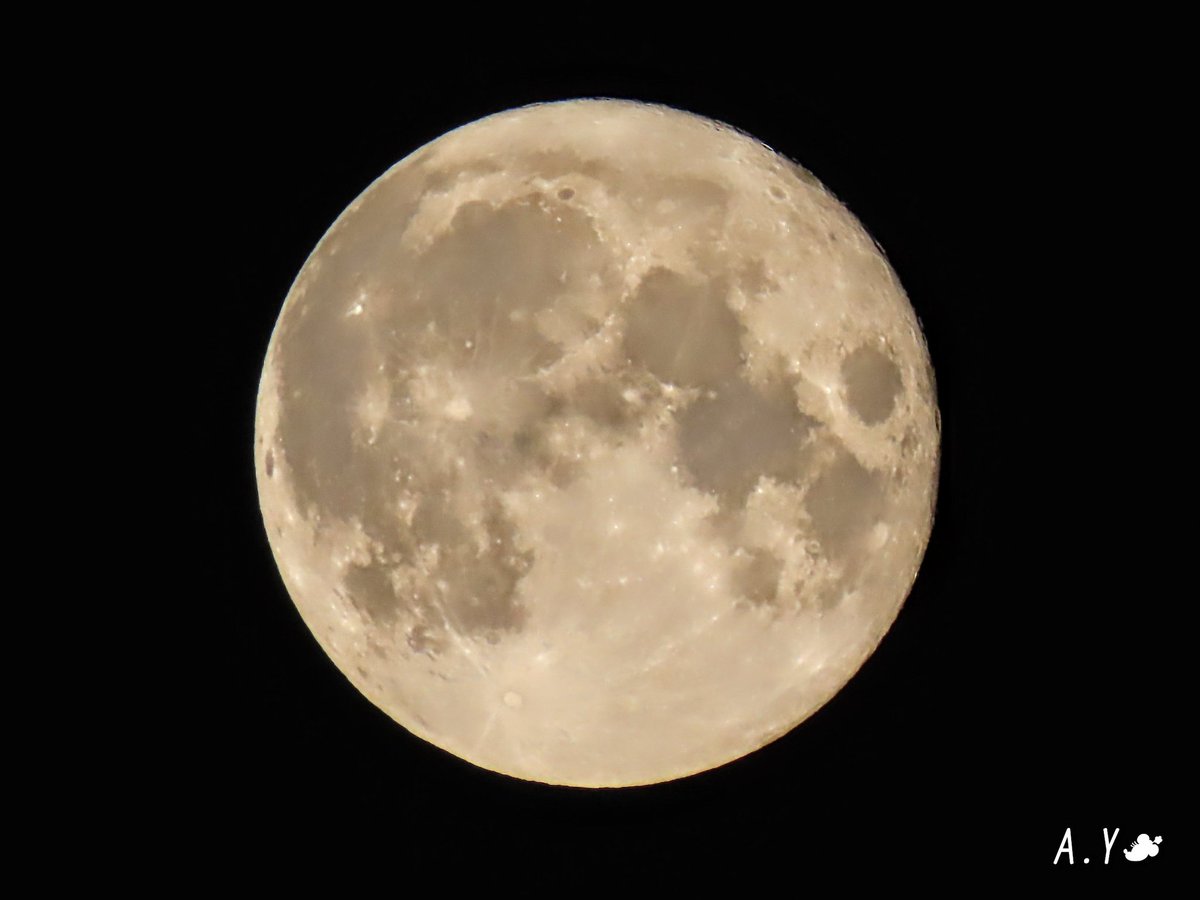 yumeasutw's tweet photo. お月様が綺麗です🌕✨
街が寝静まる夜更け🌃✨
南の空に11時37分に #満月 を迎えた #十五夜月 (月齢14.5)が輝いています✨
月の直ぐ上には #土星 が、月の左側で一際輝くのは #木星 です💫
#男鹿月
#パックムーン
#月 #moon
#夜空 #宙の名前
#雲の教室
#惑星
#ガリレオ衛星
#a2021 #a0725 #a202107 https://t.co/TWfVc7jxi4