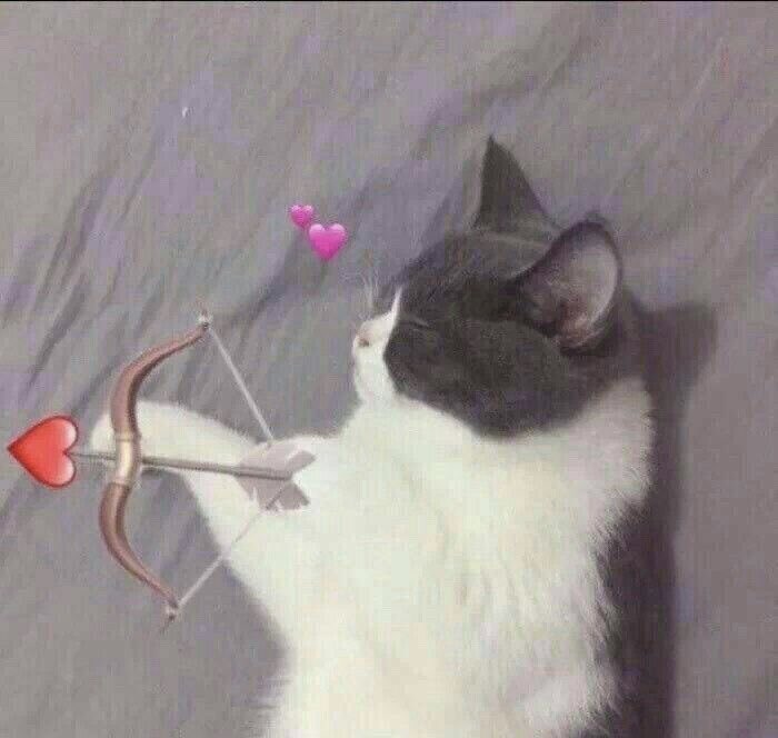 kwwkwk kasian tapi sayang, udah cape tapi masih mau dengerin cerita panjangku yang gajelas😭🥰😘  <a href="/kimjonging/">KAI</a>