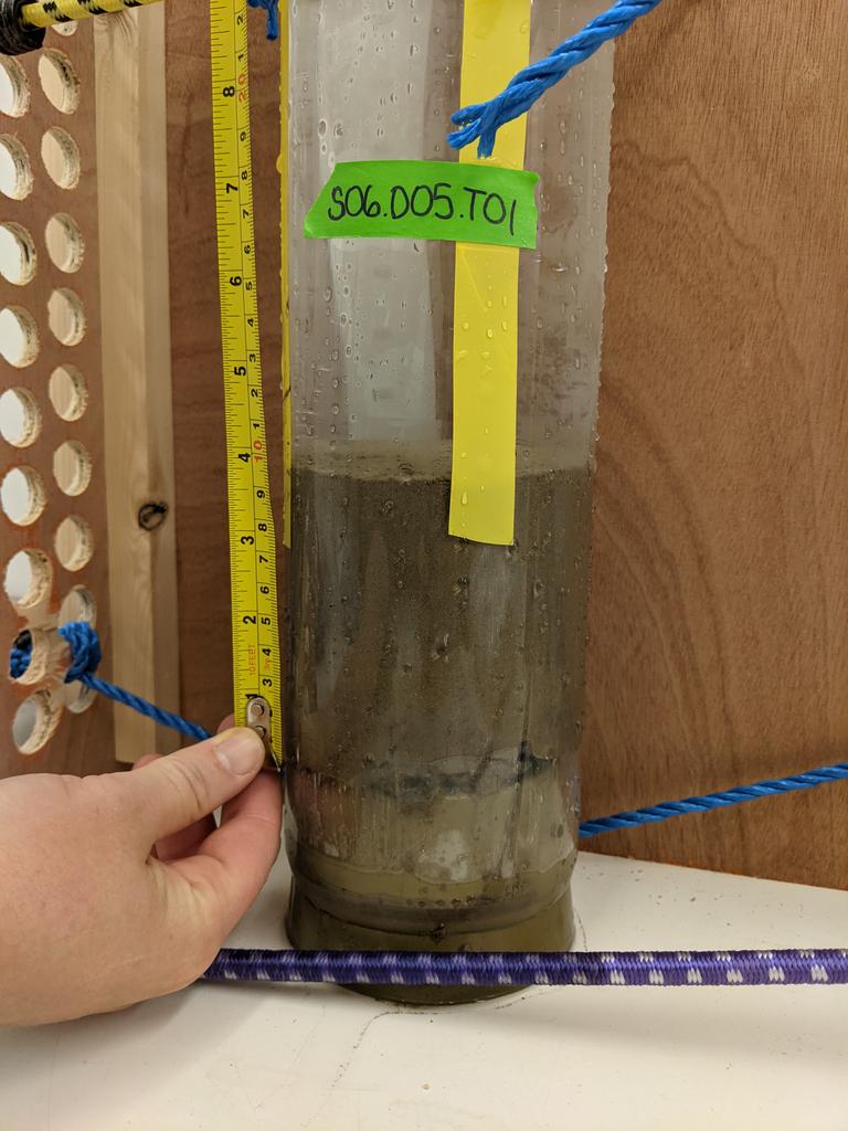 Amber Annett tweet media