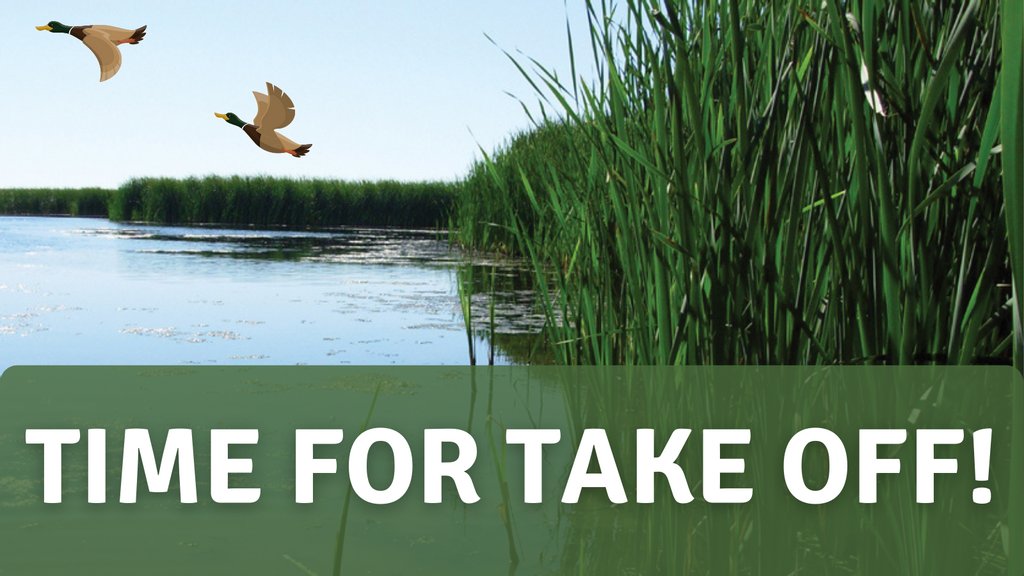 RedRiverBasin's tweet photo. We are happy to announce that the Netley Marsh Project has received all required licensing to move forward. The committee is now focused on completing the project's first phase this year. Visit https://t.co/ugLOiu7bQM to become a Friend of the Marsh today! #savenetleymarsh https://t.co/Td5SyXzTes