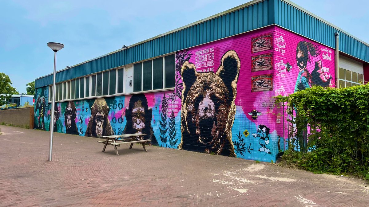michadrost's tweet photo. Prachtige #streetart op #Rotsoord aan achterzijde LE:EN door #Pipsqueak! Complimenten, heel vet 👌🏼 #utrecht #netherlands #vanmoof https://t.co/2gQmdVIZ5E