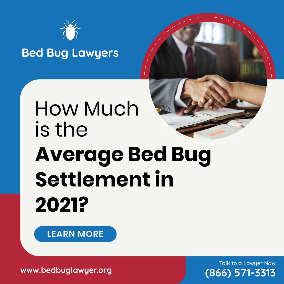 BedBugLawExpert's tweet photo. Bed bugs can be a nightmare to your wallet and can cause physical and psychological trauma. Fortunately, you have the option to sue for damages and get paid for all of your expenses and suffering. So how much Is the average bed bug settlement? https://t.co/Qu9I1moqOC

#bedbugs https://t.co/g9x5RG8iAC