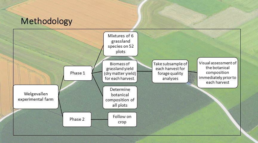 GrasslandSocSA tweet media