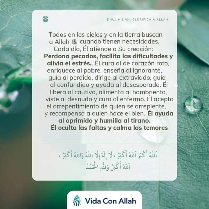 vidaconallah's tweet photo. Busca a Allah en todo momento. Nunca dudes de Su bondad y poder. #islam #islamfrases #islamespañol #allah #hadiz #profetamuhammad #profeta #musulman #subhanallah #muhammad #musulmanes #dua #coran #lifewithallah #vidaconAllah https://t.co/kOfBWHrlef