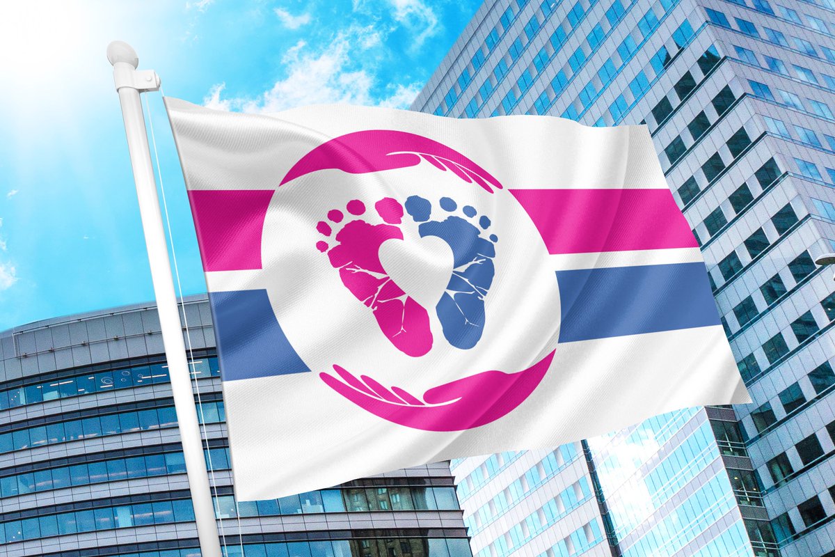 It's official! Flag F won the vote and is now the Pro-Life Flag! Learn more and get yours today: prolifeflag.com