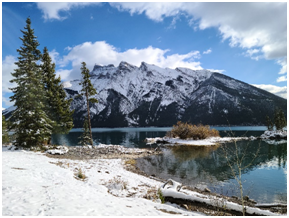 CompostAnd's tweet image. When you live in Canada you quickly lean to accept 4 seasons. One of the most exciting seasons of the year is summer if you are a gardener and you love the outdoors.
See More: happycompost.com/arent-you-glad…
.
#happycompost #arent #glad #summertime #flowers #full #Gardenin