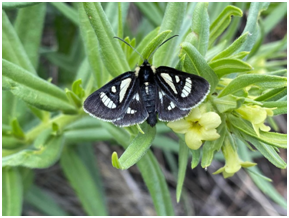 CompostAnd's tweet image. When you live in Canada you quickly lean to accept 4 seasons. One of the most exciting seasons of the year is summer if you are a gardener and you love the outdoors.
See More: happycompost.com/arent-you-glad…
.
#happycompost #arent #glad #summertime #flowers #full #Gardenin