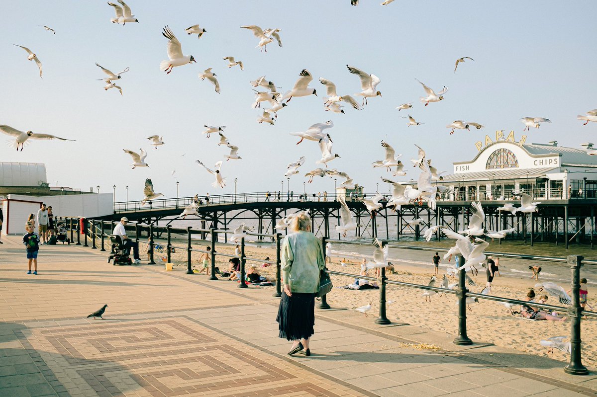 dan8aker's tweet photo. Seagulls of the seaside https://t.co/9tXfQMLphg