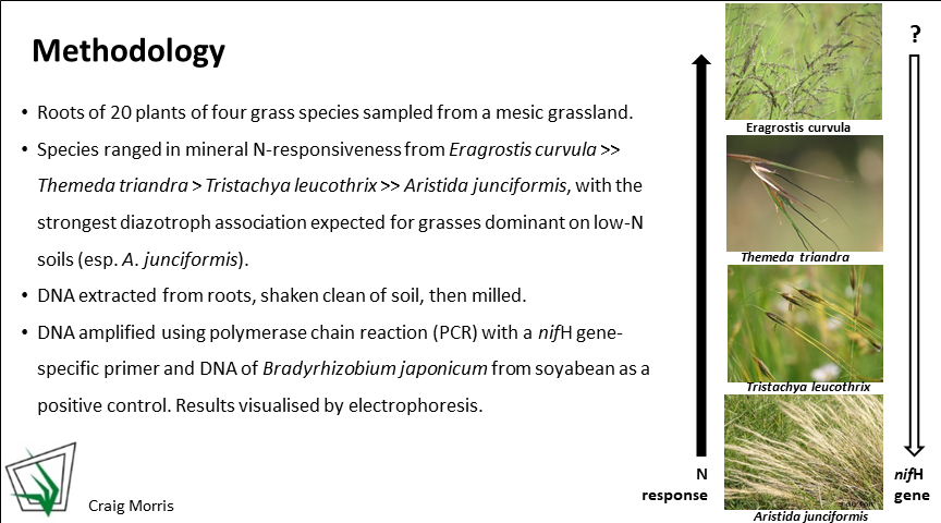 GrasslandSocSA tweet media