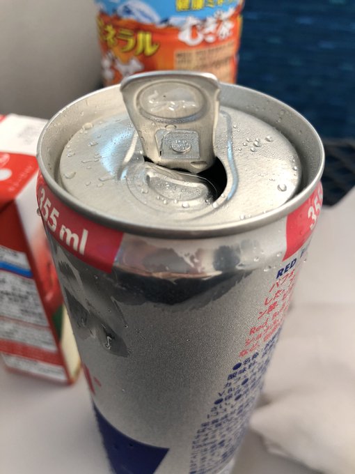 翼を授かれなかった。 