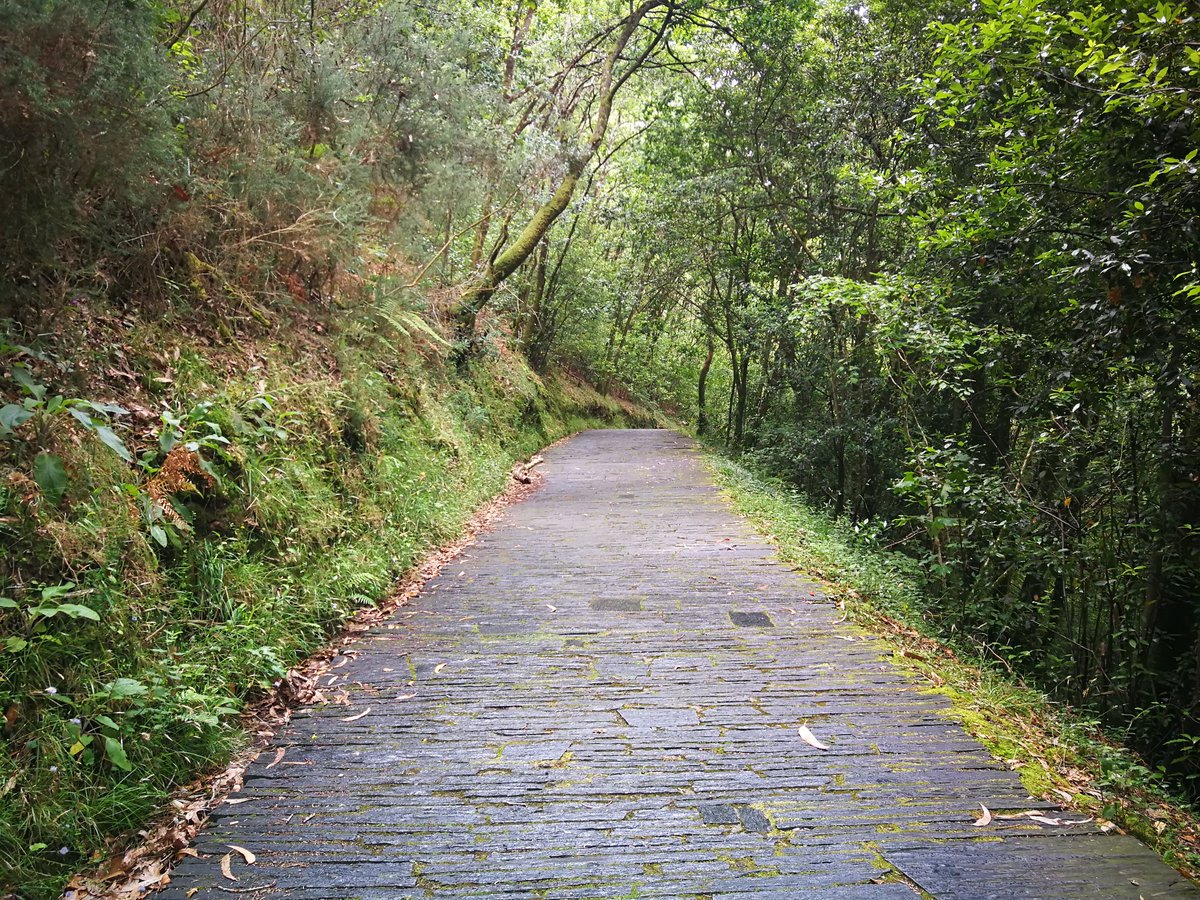 g_davidalmazan's tweet photo. Parque Natural das Fragas do Eume
"Paseos para vivir y compartir"
@dePontedeume
#granito #filita #serpentinita #cuarcita #arenisca https://t.co/vzApDz8UjO