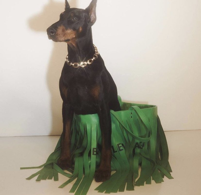 Namel3sss's tweet image. IN MY BAG